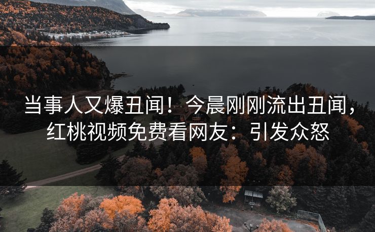 当事人又爆丑闻！今晨刚刚流出丑闻，红桃视频免费看网友：引发众怒
