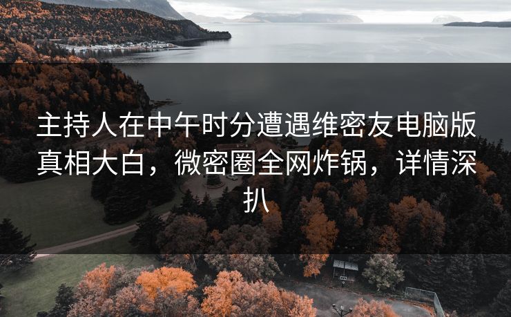主持人在中午时分遭遇维密友电脑版真相大白，微密圈全网炸锅，详情深扒