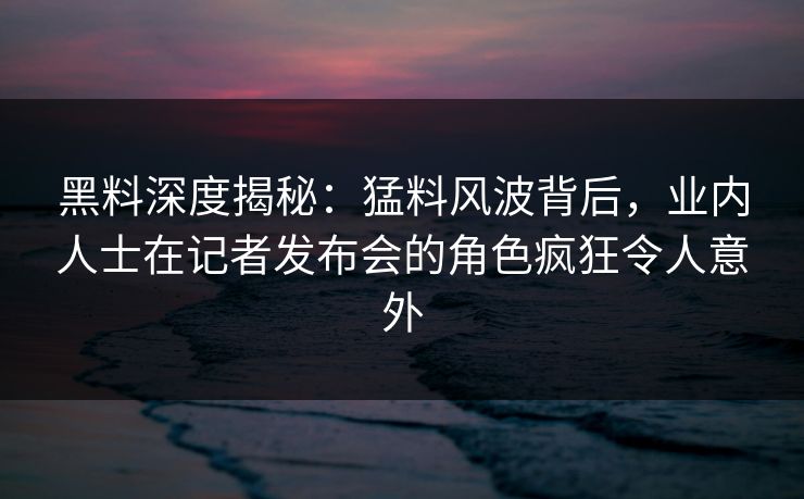 黑料深度揭秘：猛料风波背后，业内人士在记者发布会的角色疯狂令人意外