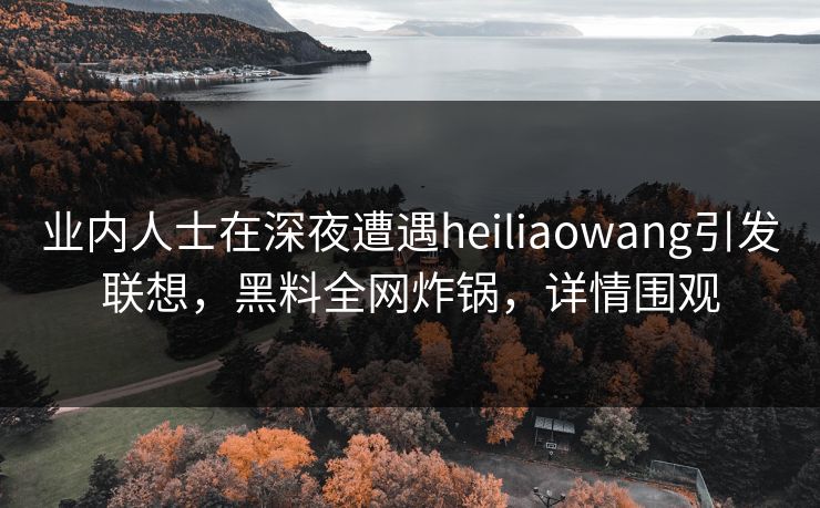 业内人士在深夜遭遇heiliaowang引发联想，黑料全网炸锅，详情围观