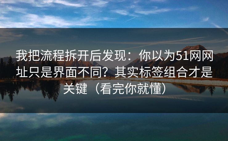 我把流程拆开后发现：你以为51网网址只是界面不同？其实标签组合才是关键（看完你就懂）